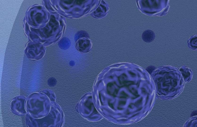 Comprehensive AAV Vector Design Services to Advance Gene Therapy Research