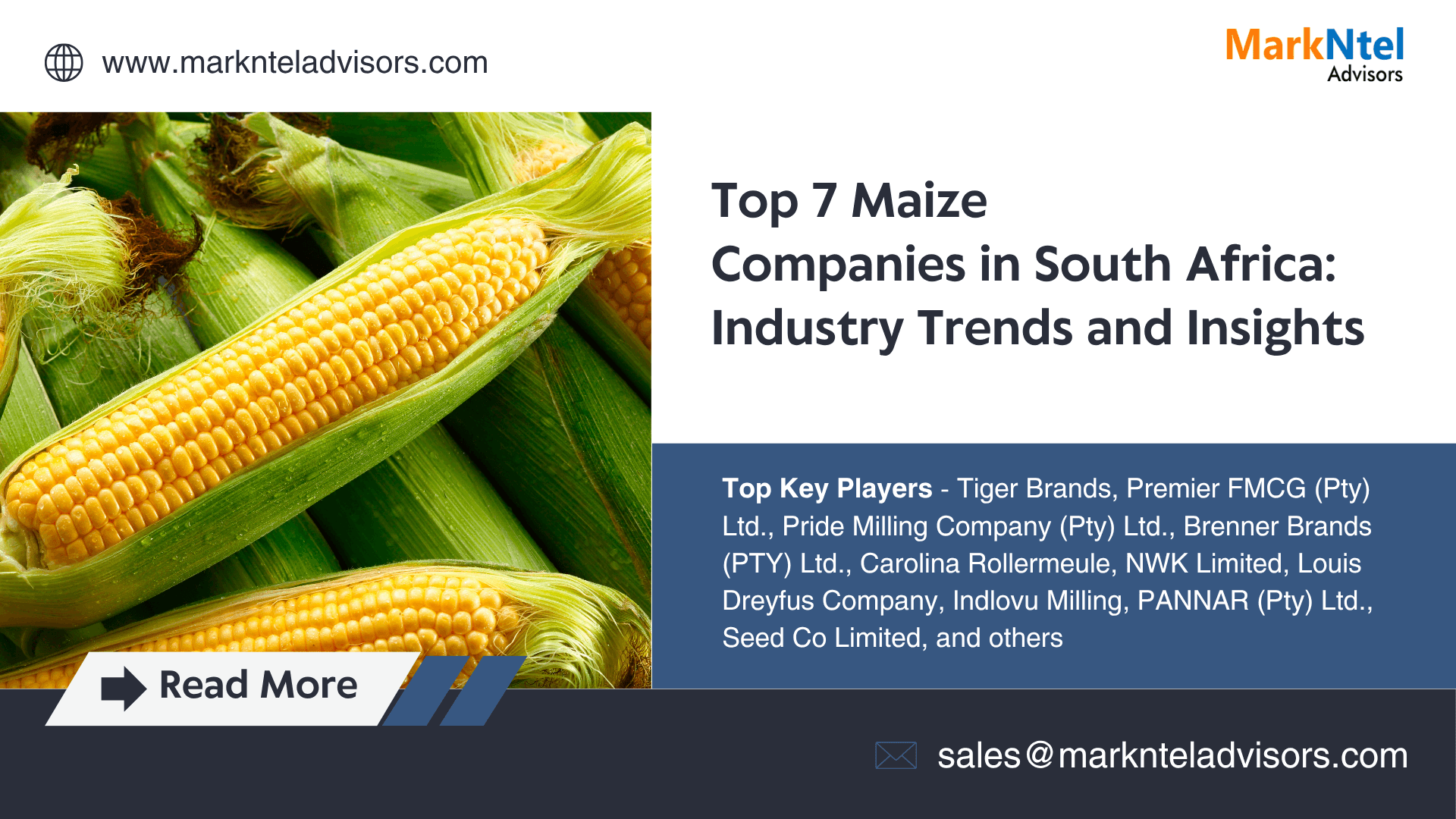 Top 7 Maize Companies in South Africa in 2025: Operational Trends and Insights