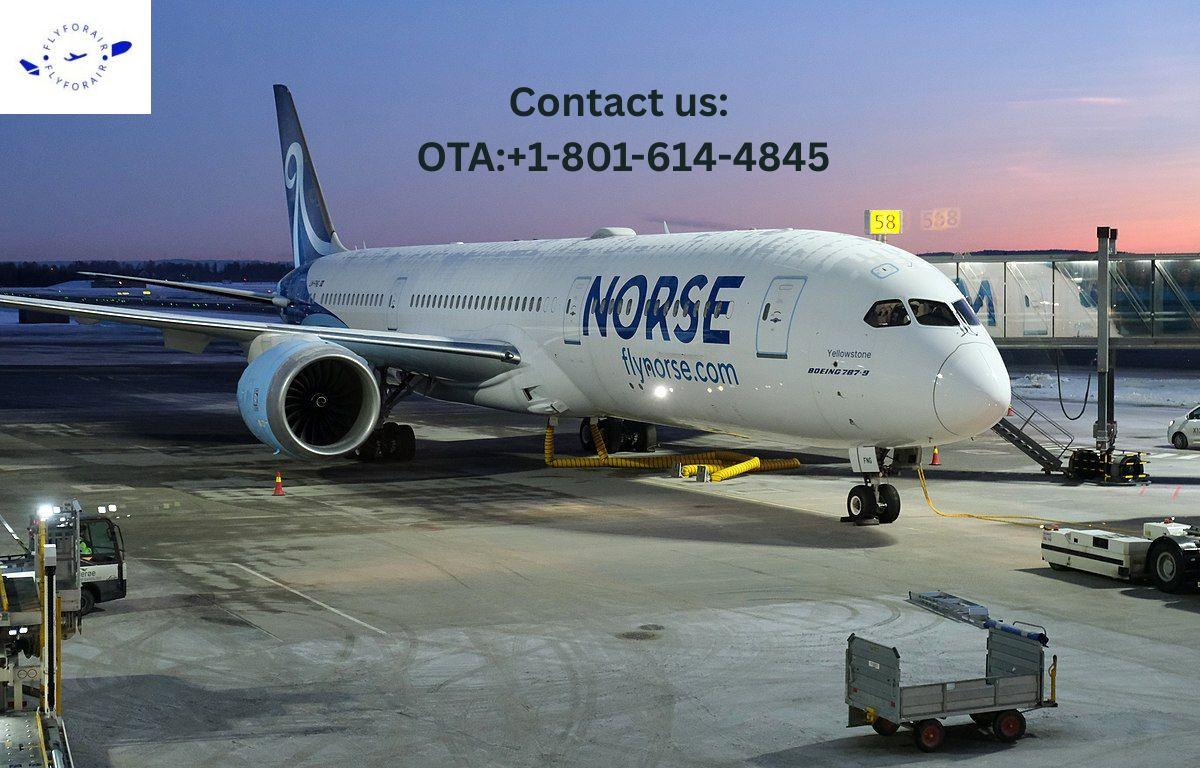 How Do I Contact to a Live Person at Norse? Simple Steps for Live Assistance