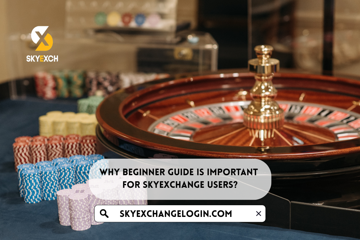 Why Beginner Guide Is Important For SkyExchange Users?