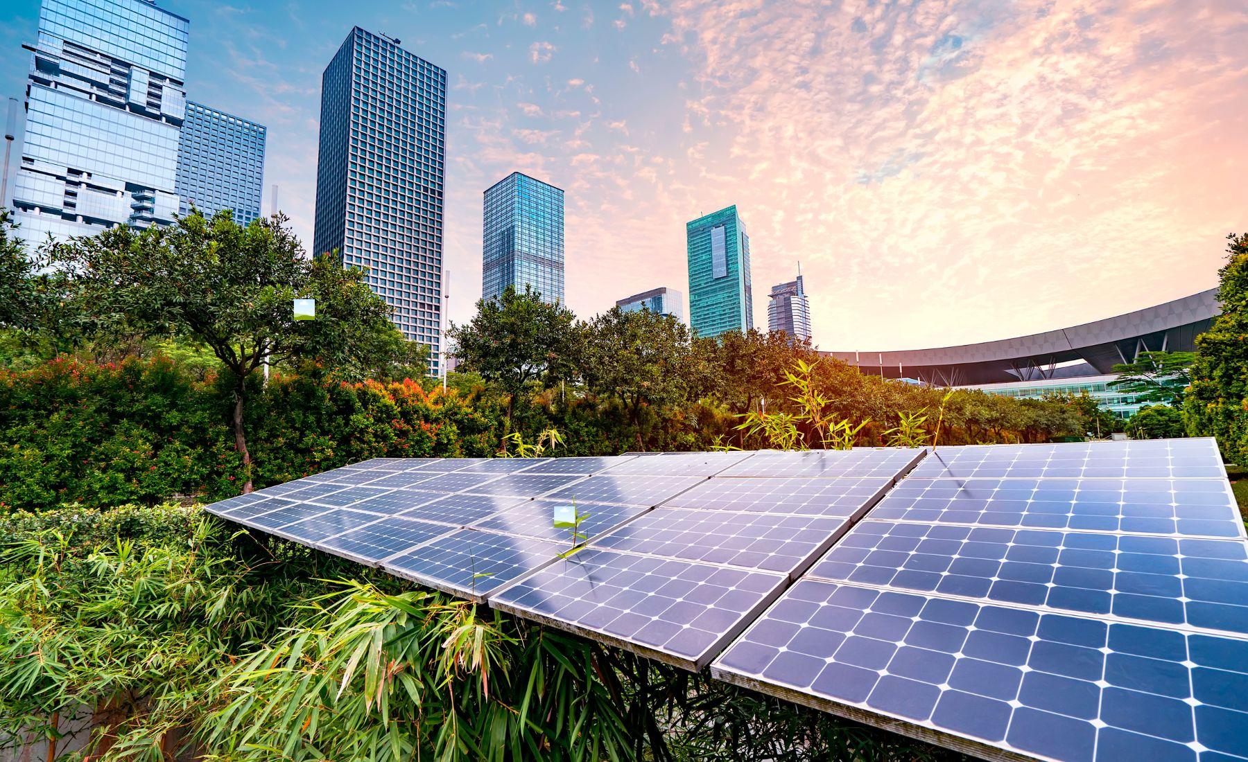 Latin America Renewable Energy Market: Growth, Opportunities, and Future Outlook
