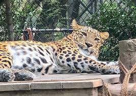 Exploring the National Zoological Park in Delhi: Timings, Ticket Prices, and more