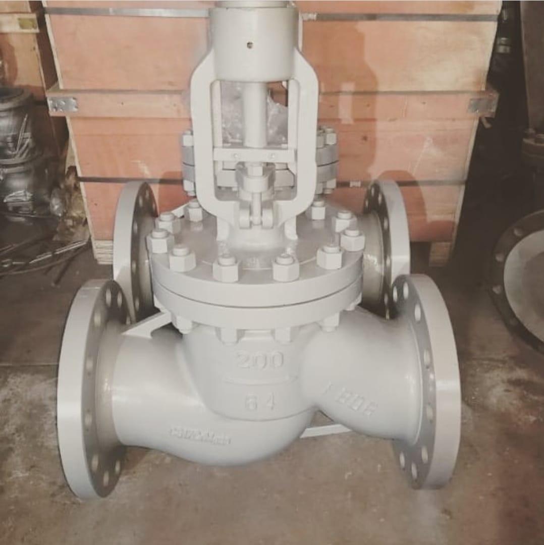 Forged Steel Globe Valve Manufacturer in USA