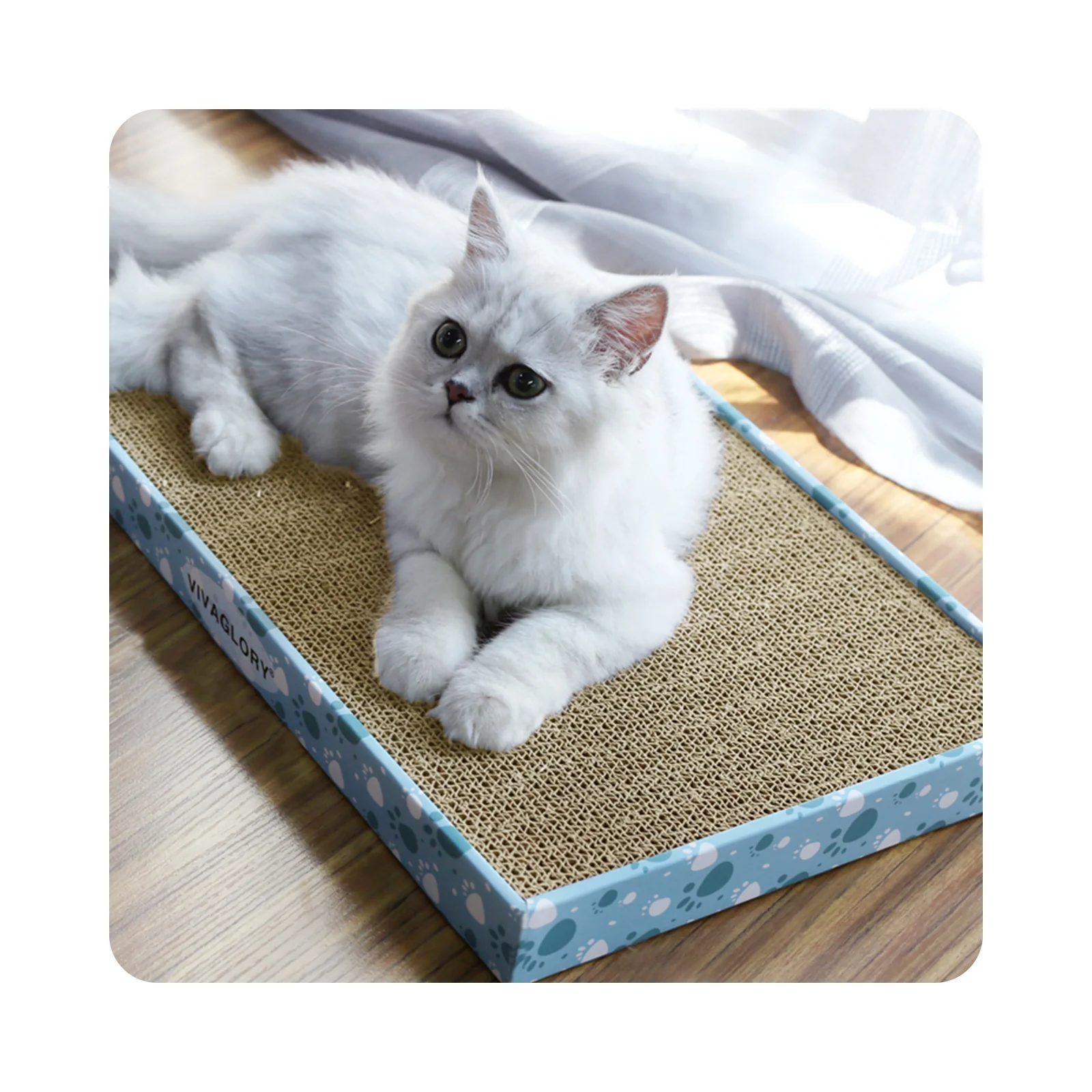 Discover the Perfect Playtime for Your Feline Friend