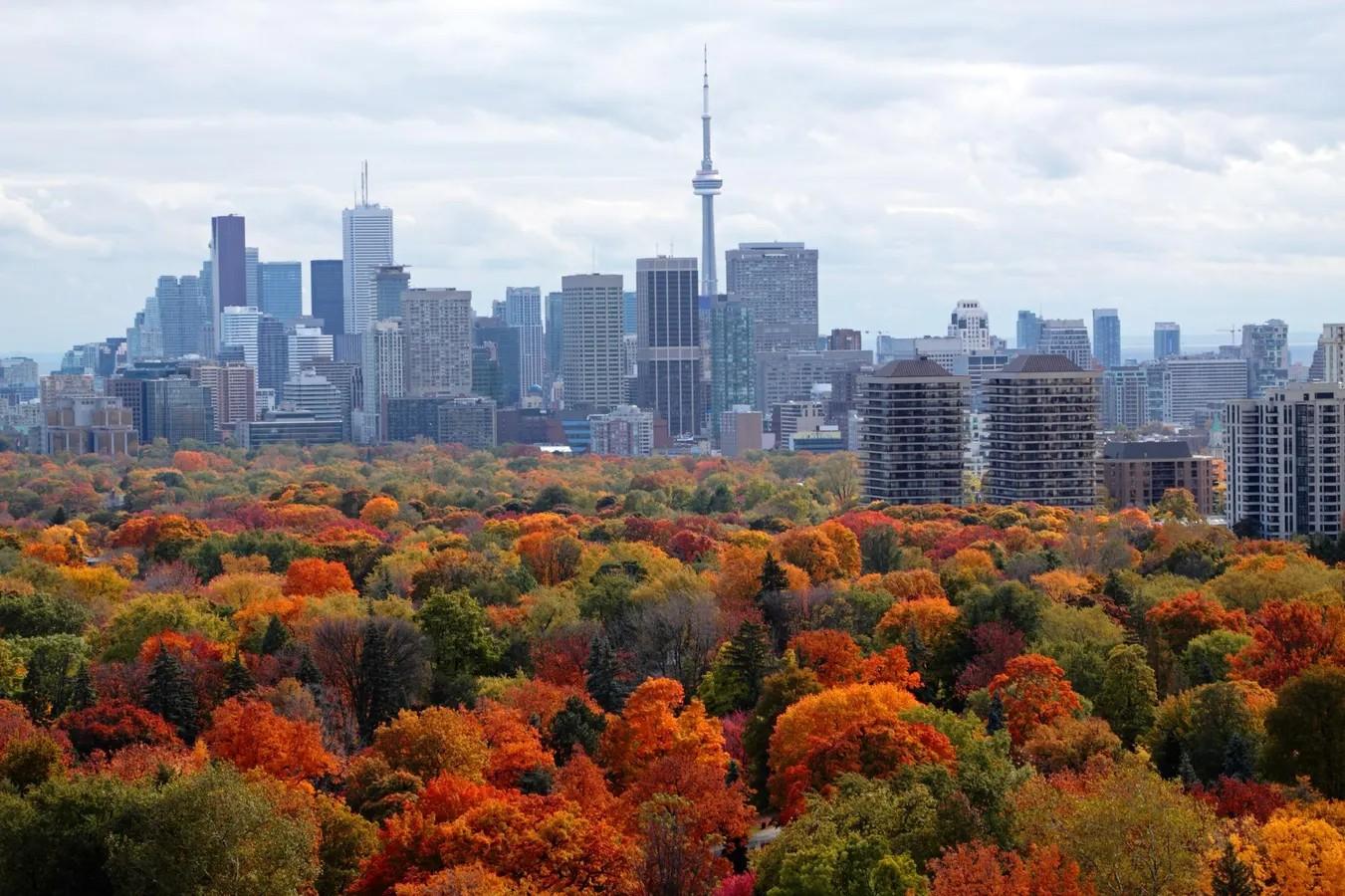 Flights to Toronto: Seasonal Travel and Local Delights