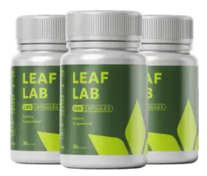 Connect Freelancing Platform