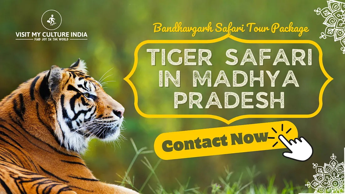 Bandhavgarh safari tour package
