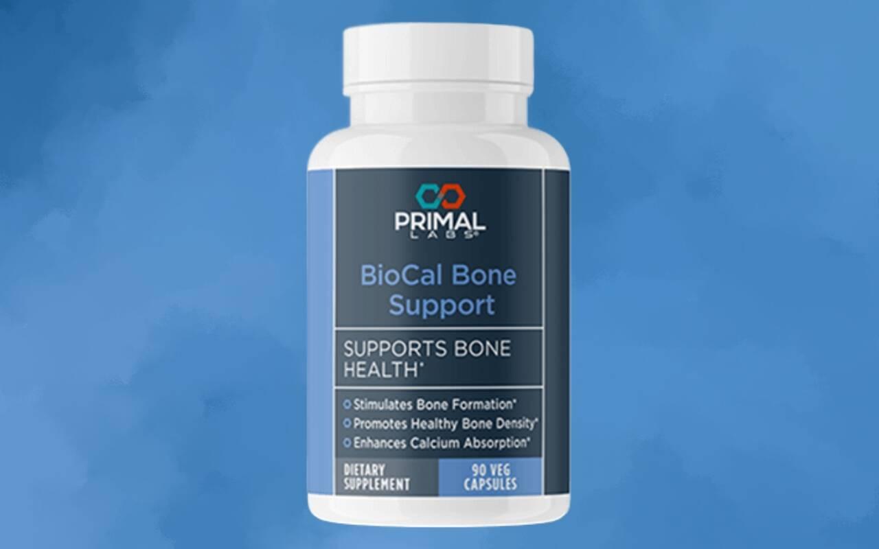 Connect Freelancing Platform