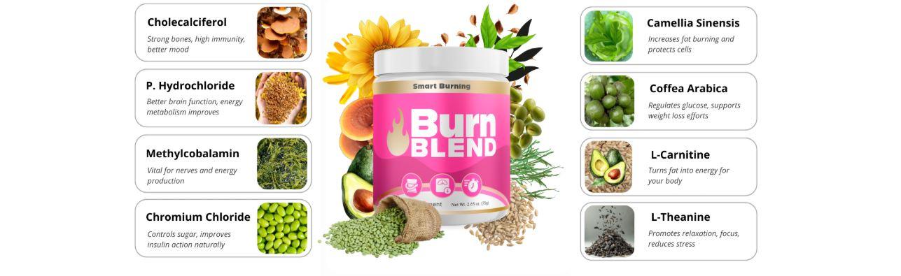 Connect Freelancing Platform