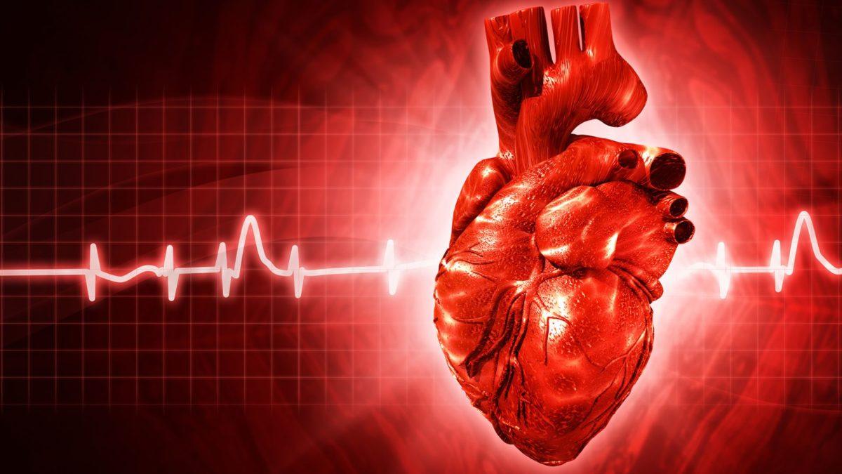 Best Cardiologist in Jaipur: How to Choose the Right Heart Specialist