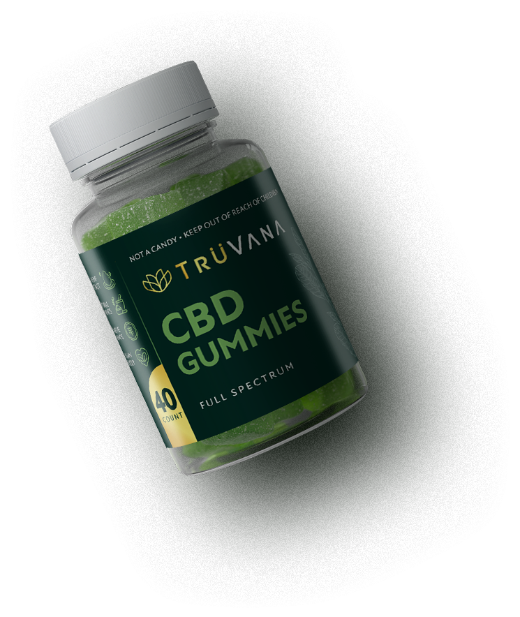 Connect Freelancing Platform