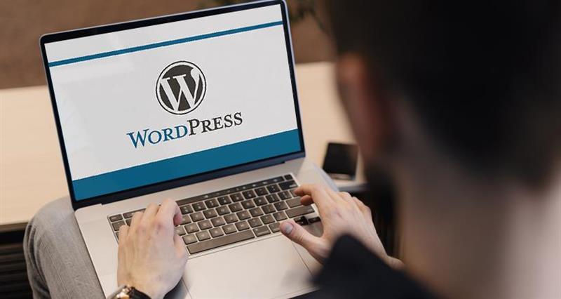 Top 10 Benefits of Hiring a WordPress Website Development Company in Dubai