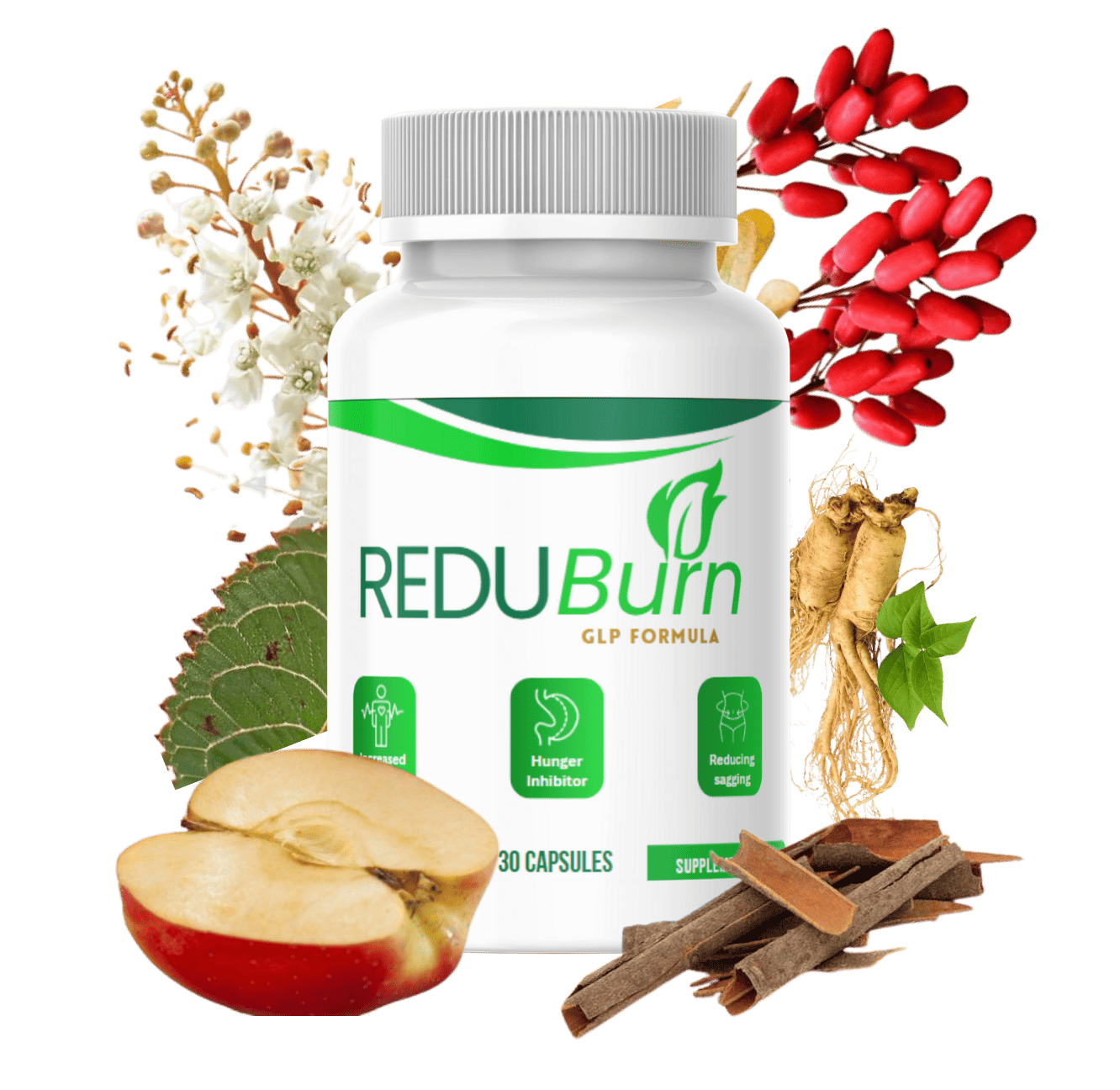 Connect Freelancing Platform