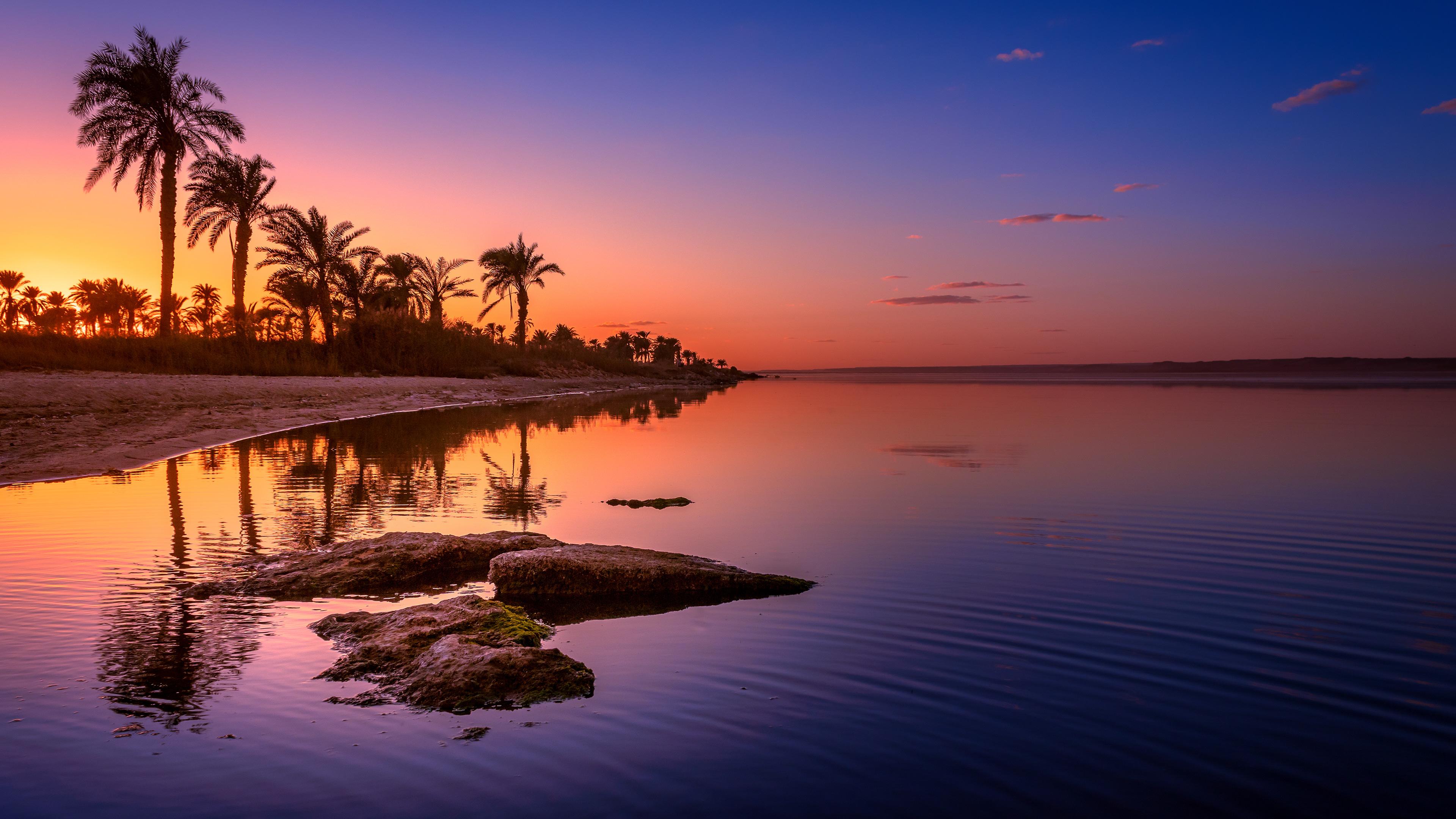 Connect Freelancing Platform