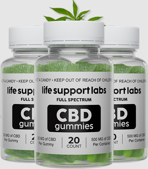 Connect Freelancing Platform