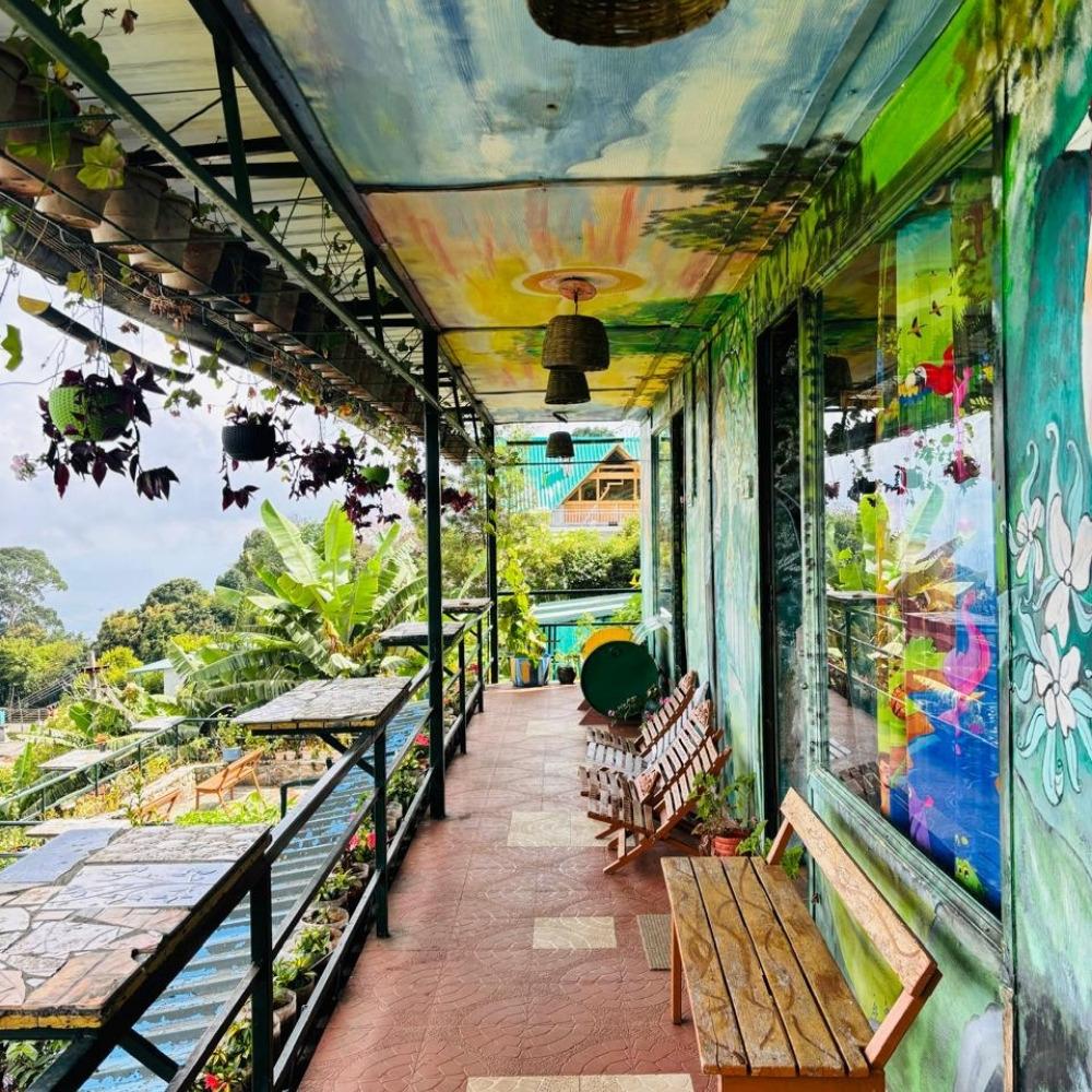 Discover the Best Hotels in Kodaikanal for a Perfect Hill Station Getaway