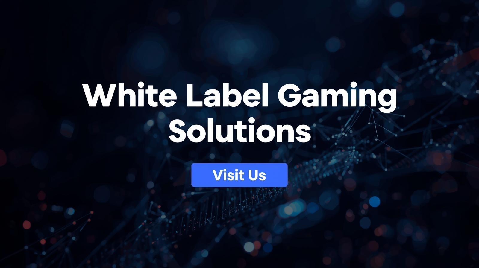 The Smart Way to Build Games: Exploring the Power of White Label Gaming Solutions