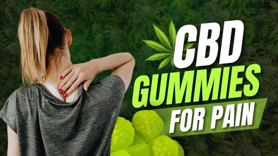 Catalina Farms CBD Gummies That Taste Great and Work Fast