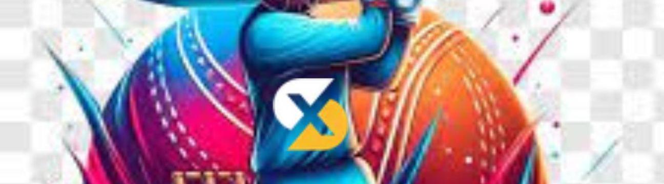 Skyexch Online
