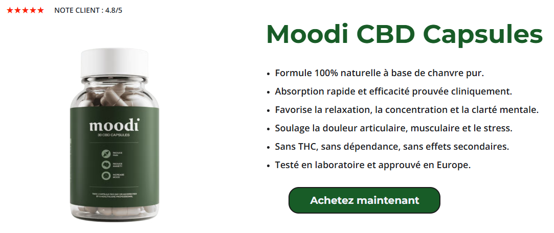 Connect Freelancing Platform
