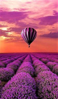 Connect Freelancing Platform