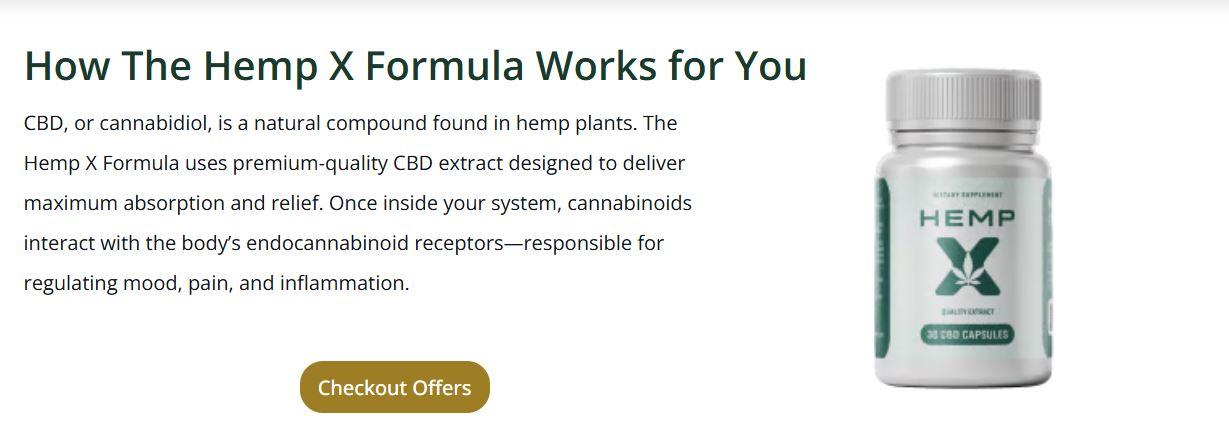 Connect Freelancing Platform