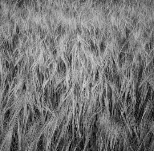 Why Grey Tribal Curtains Are Perfect for Your Home: Unique, Stylish, and Functional