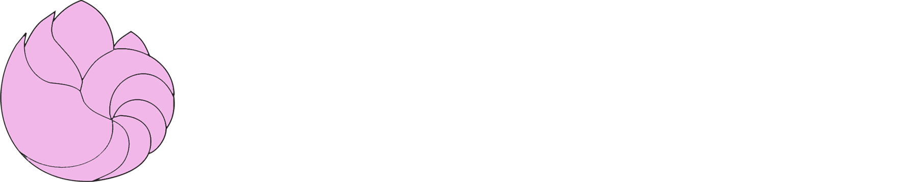 Connect Freelancing Platform