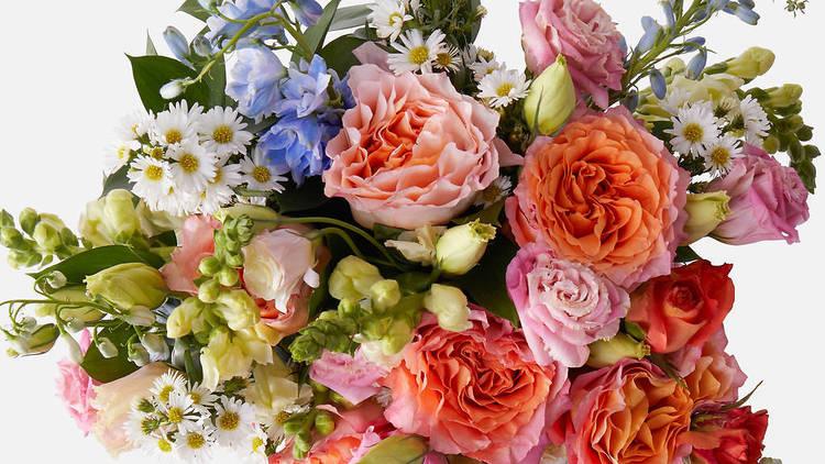 Connect Freelancing Platform