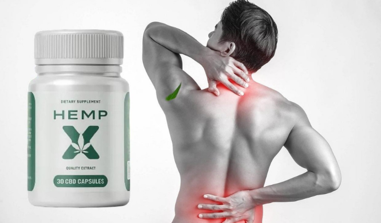 Hemp X CBD Dragons Den: The Pitch That Took the Market by Storm