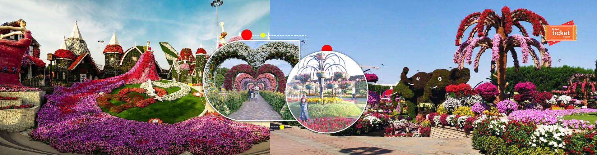 Connect Freelancing Platform