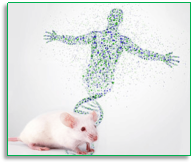 Behind the Maze: How Tail Suspension and Elevated Plus Maze Tests Drive Antidepressant Breakthroughs