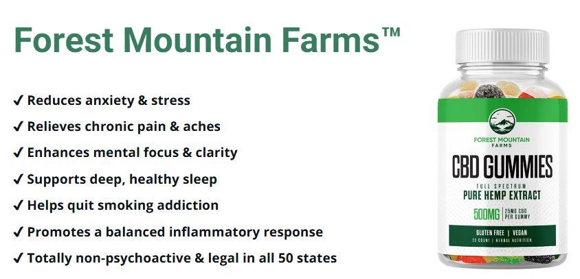 Connect Freelancing Platform