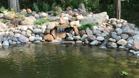 How a Pond Contractor Designs Eco-Friendly Water Features