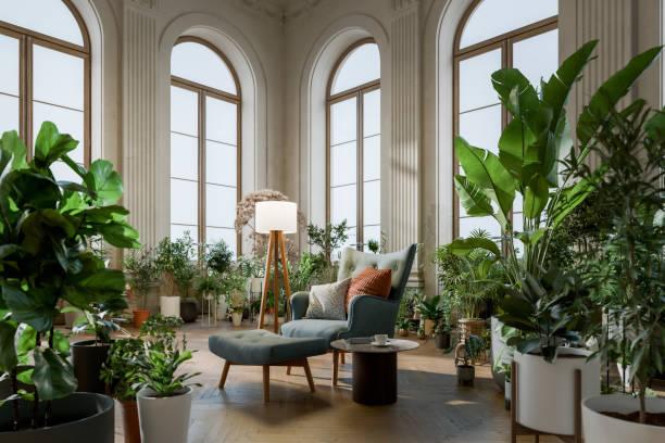 How Interior Plant Service Transforms Dull Rental Spaces?