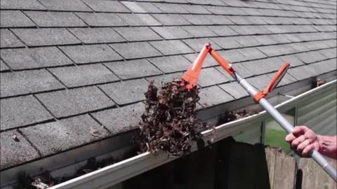  Leaves Everywhere? Get Gutter Cleaning Services Before Damage