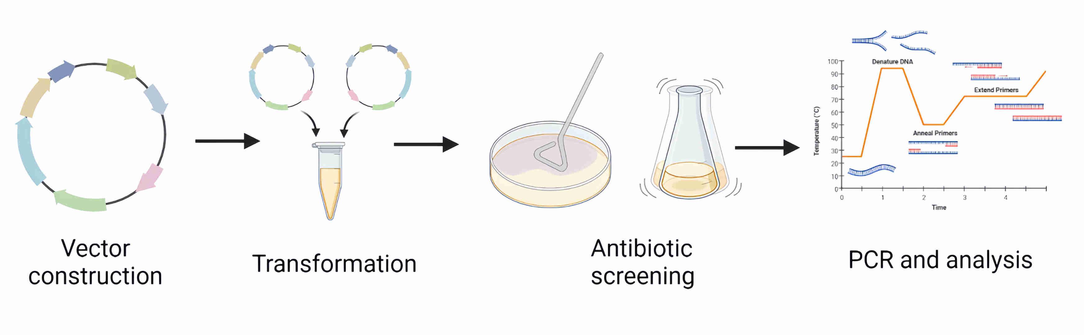 High-Sensitivity ELISA Kits for Antibiotic Residue Detection in Biologics Manufacturing