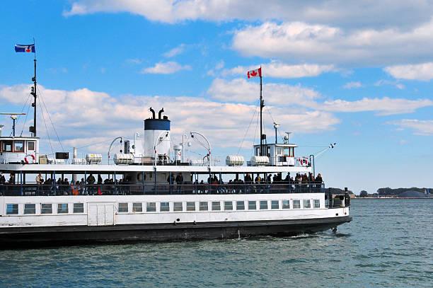 How Do Custom Deck Services Maximize Backyard Space?