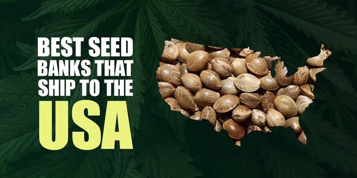 Seed Banks That Ship to USA for Premium Cannabis Genetics