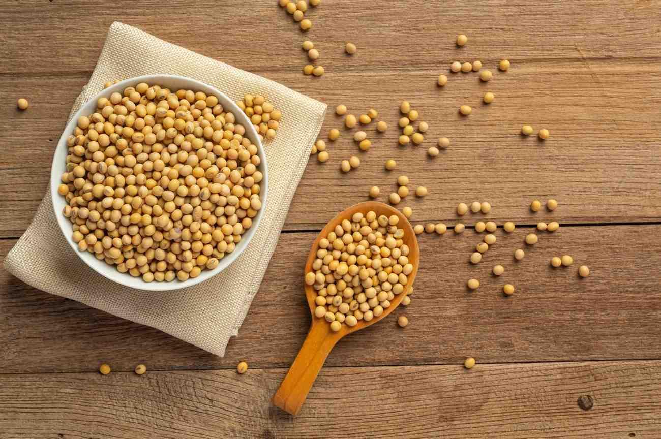 Why Soyabeans Manufacturers in India Are in Global Demand