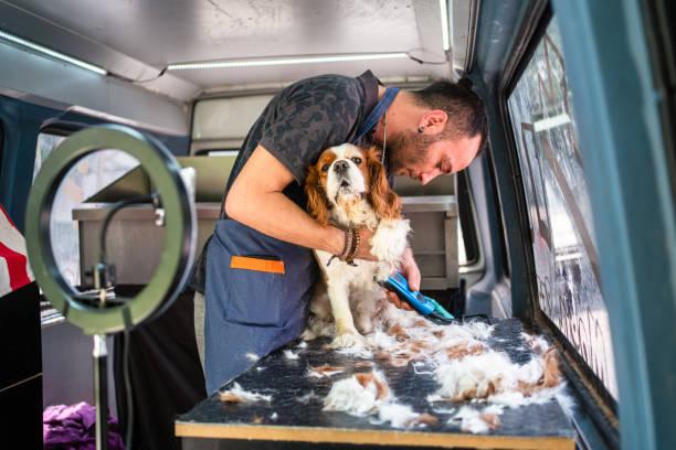 Can Mobile Pet Grooming Help with Aggressive Dog Behavior?